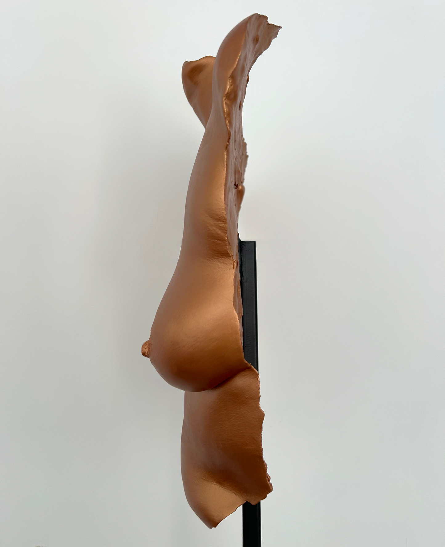 C.B. Breast Cast