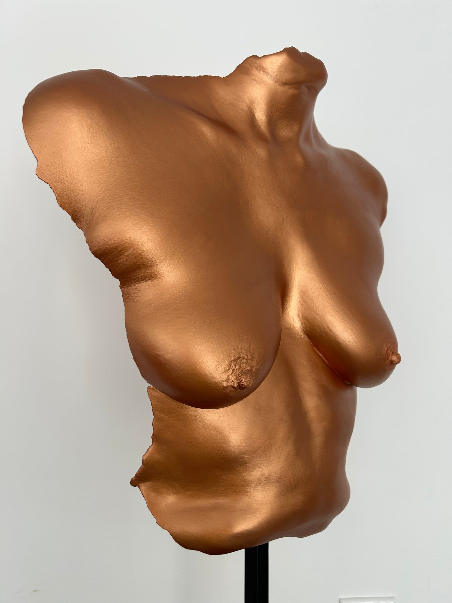 C.B. Breast Cast