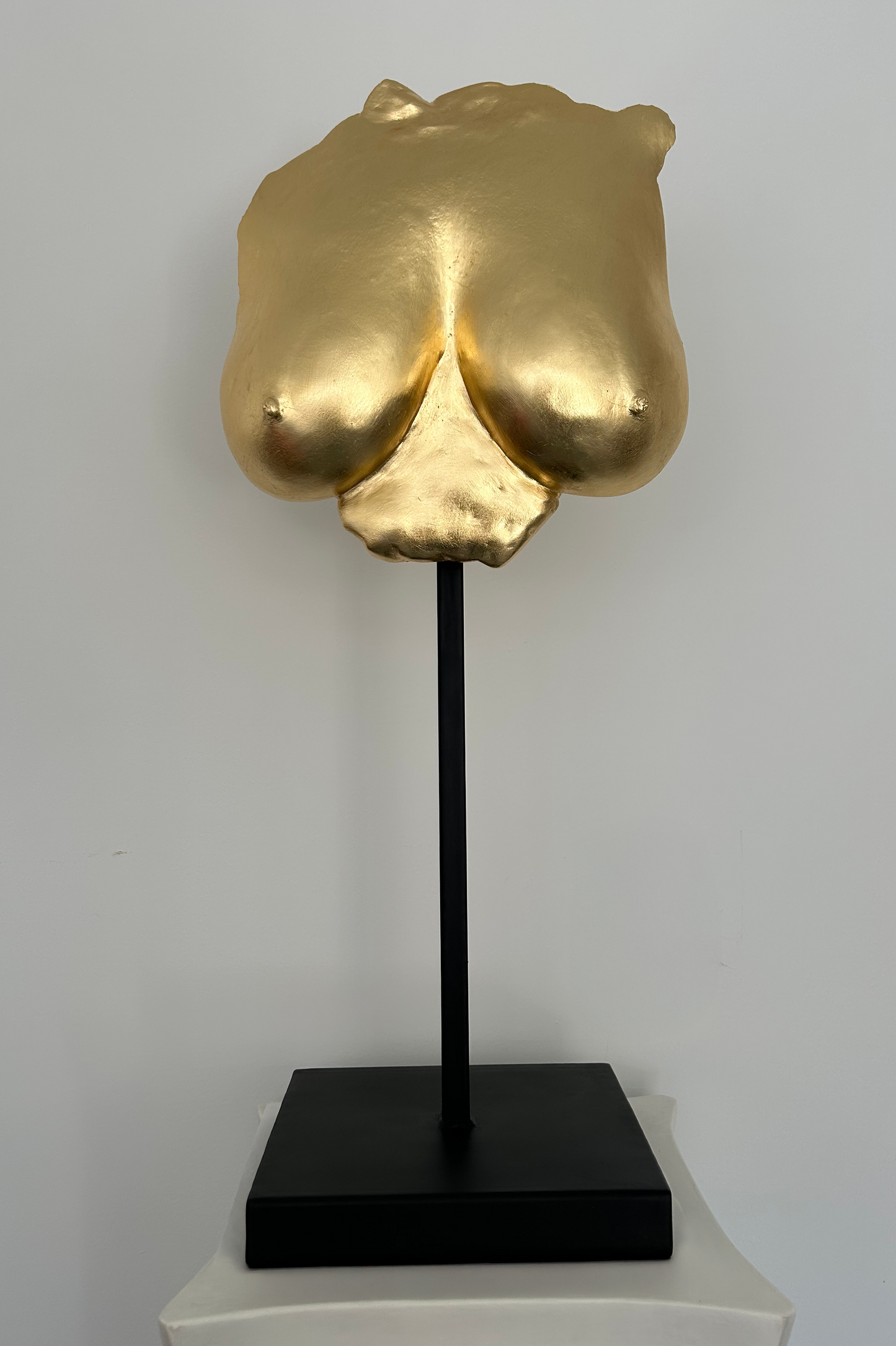 M.E. Breast Cast
