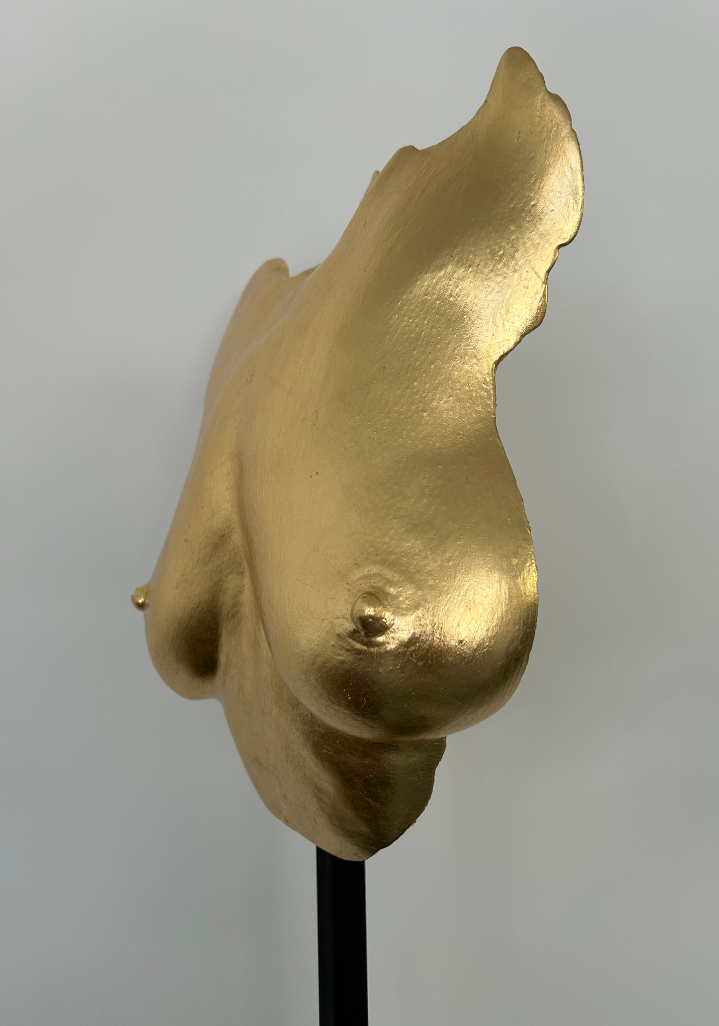J.P. Breast Cast