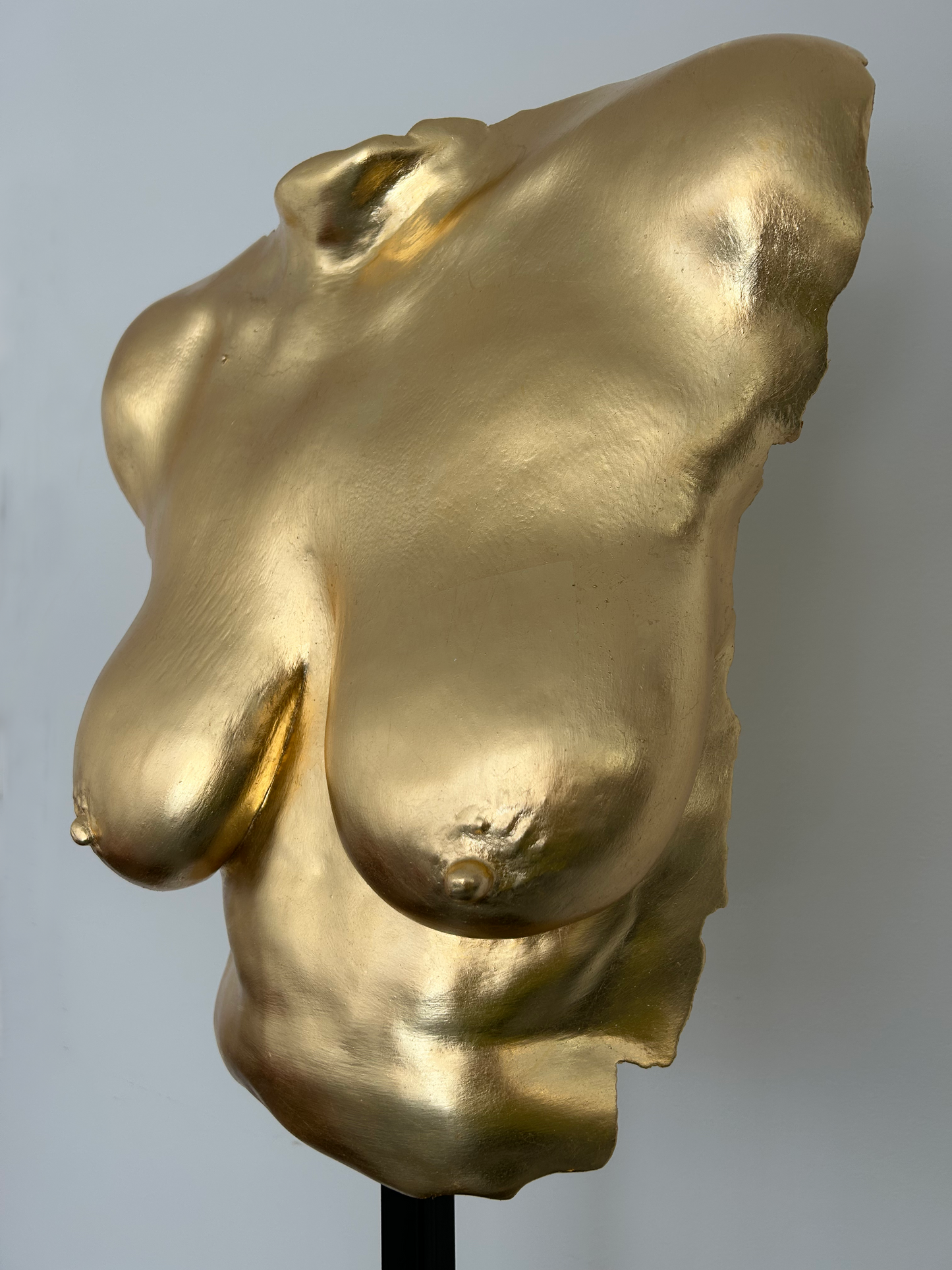 L.L. Breast Cast