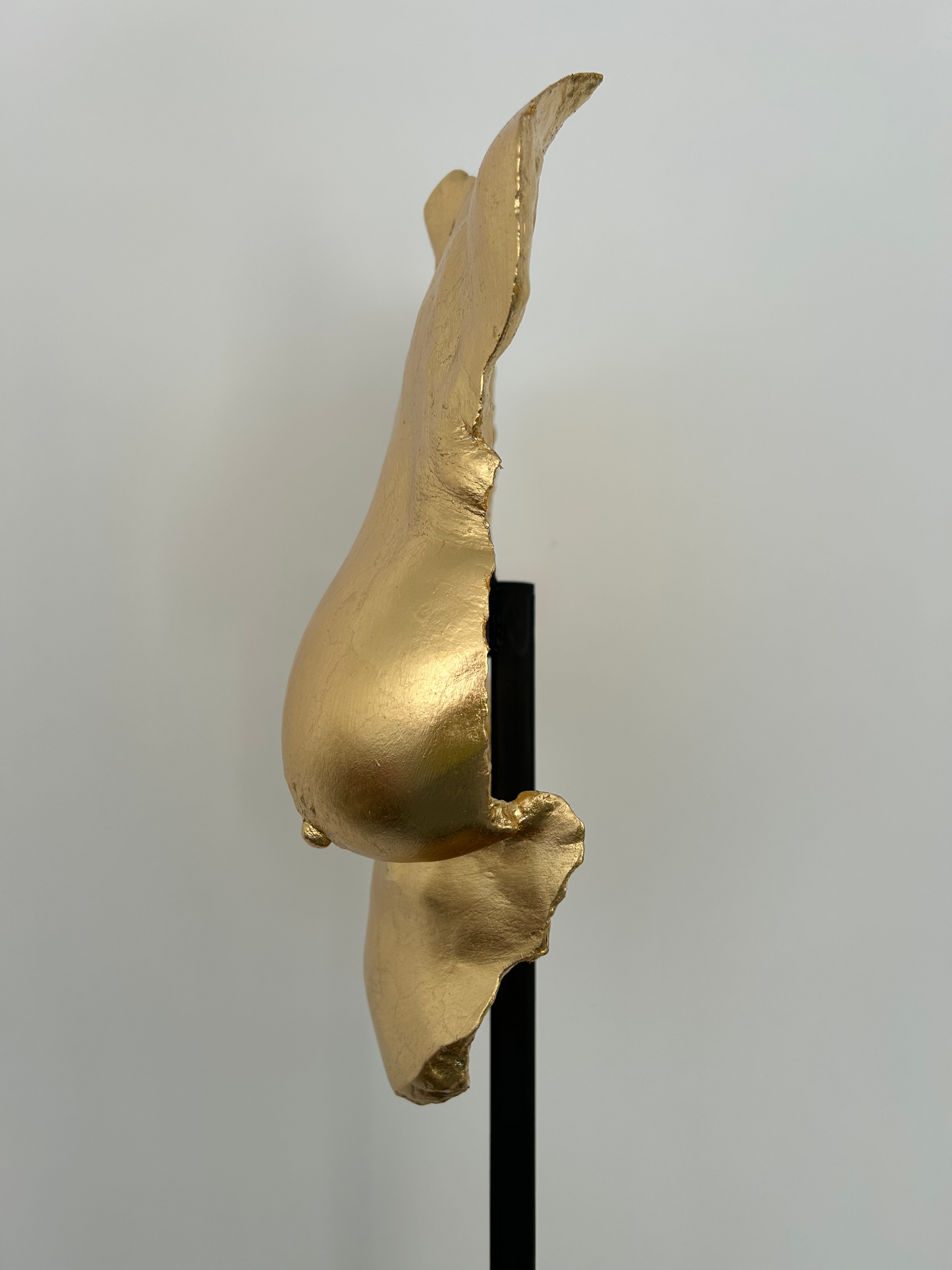 D.W. Breast Cast