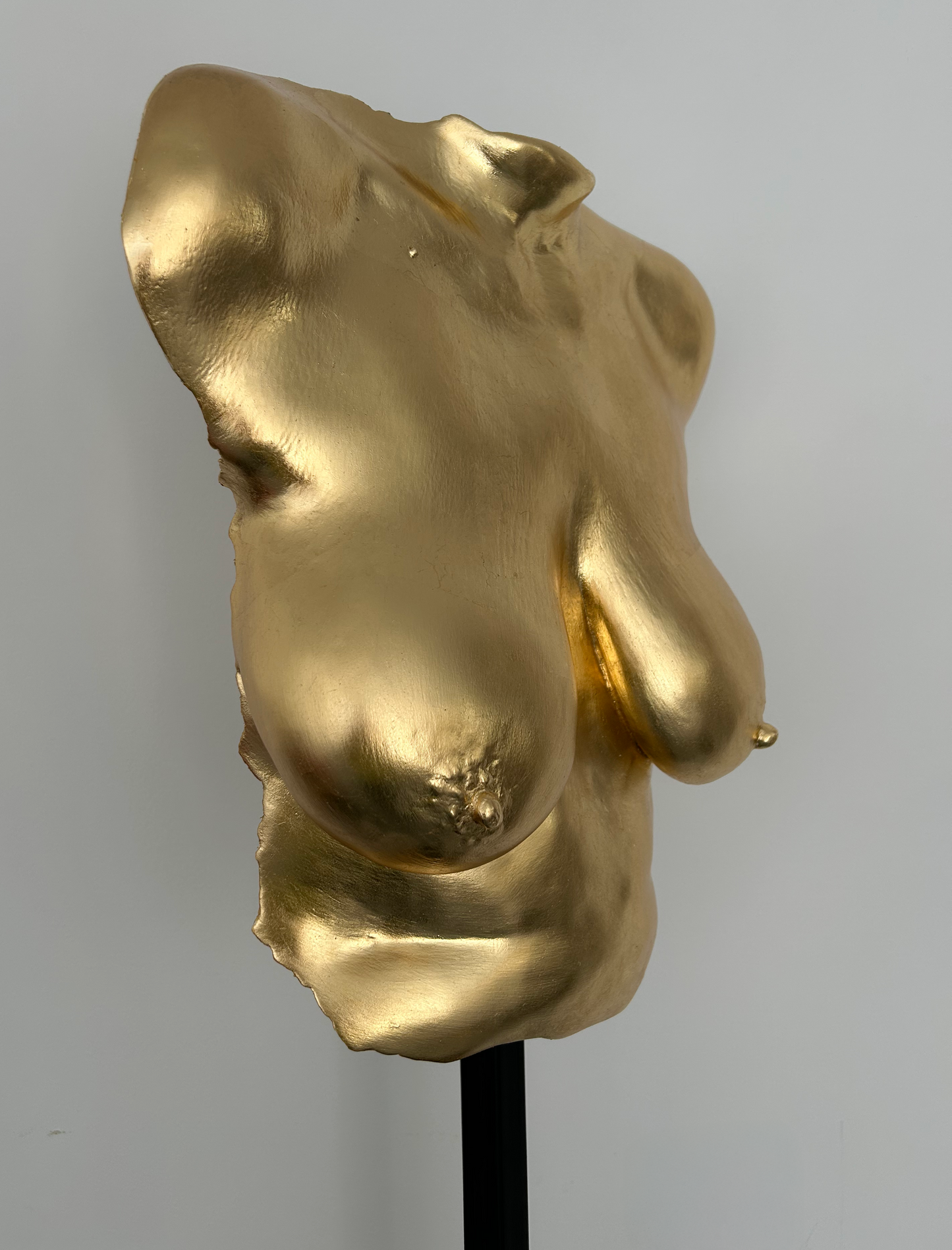 L.L. Breast Cast