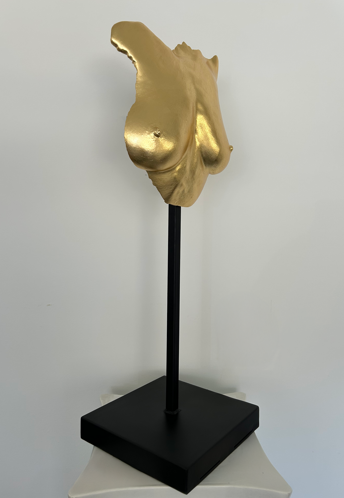 J.P. Breast Cast