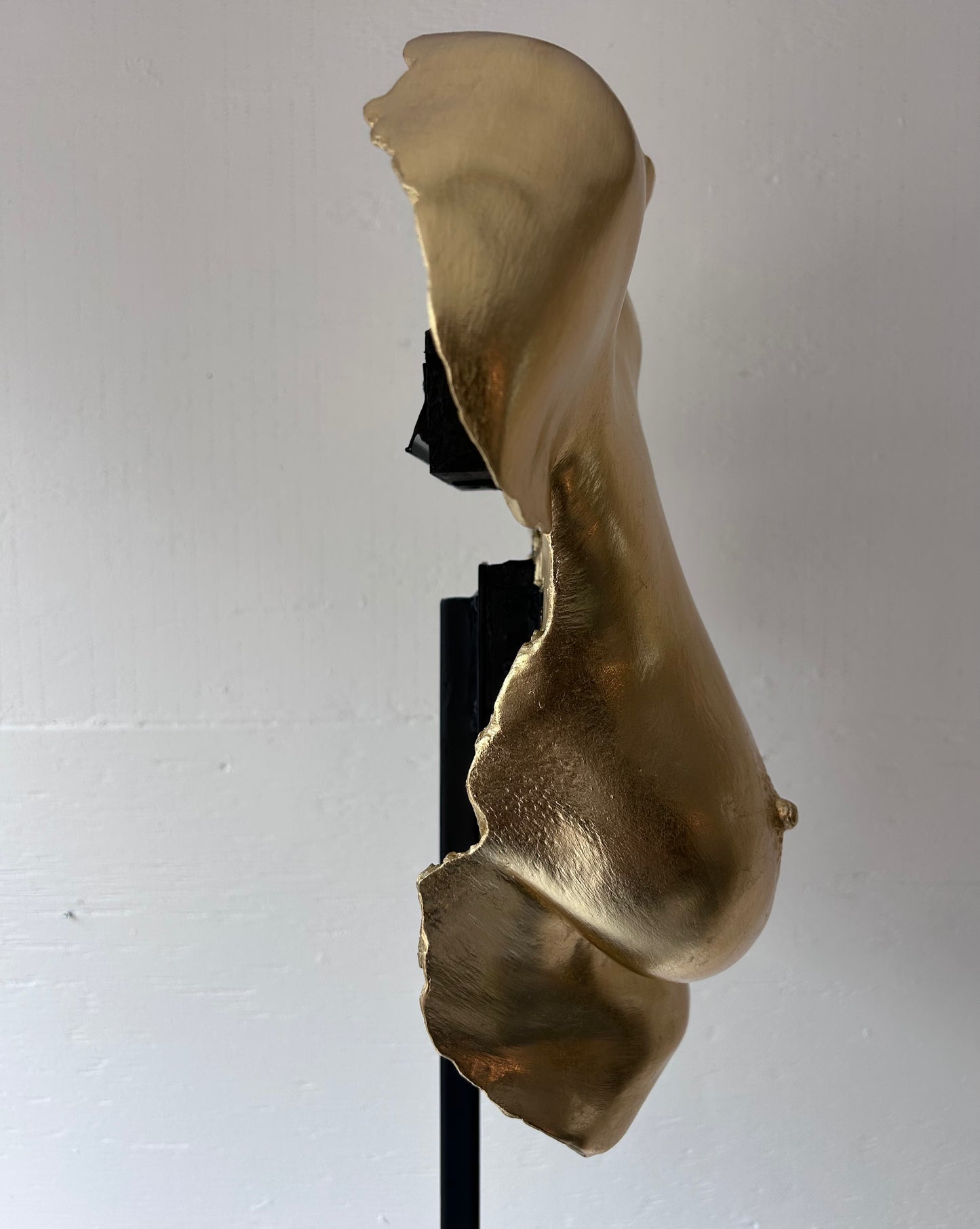 M.S.