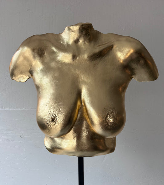 M.S.