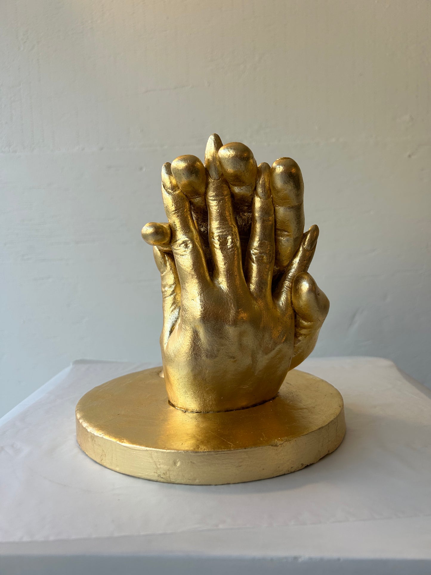 D.T. Partner Hand Cast