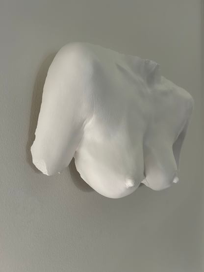 Wall Mount Breast Cast