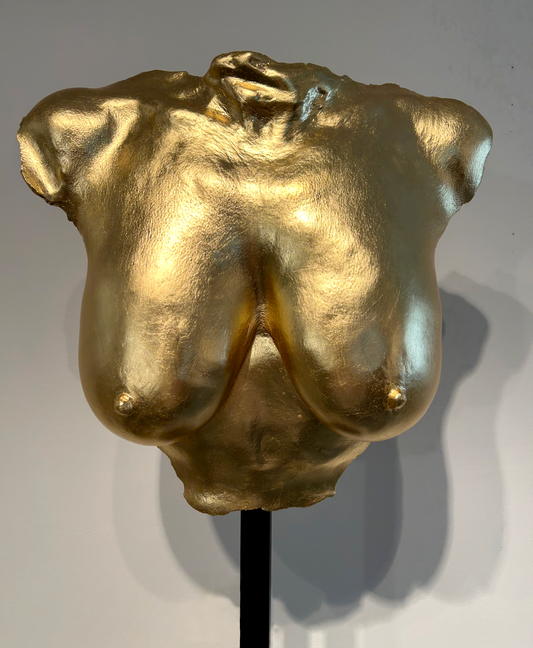 D.R. Breast Cast