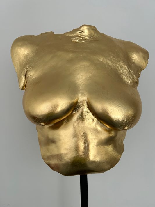 D.W. Breast Cast