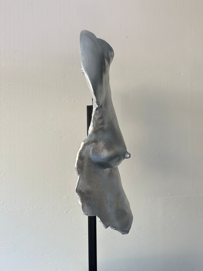 L.S.