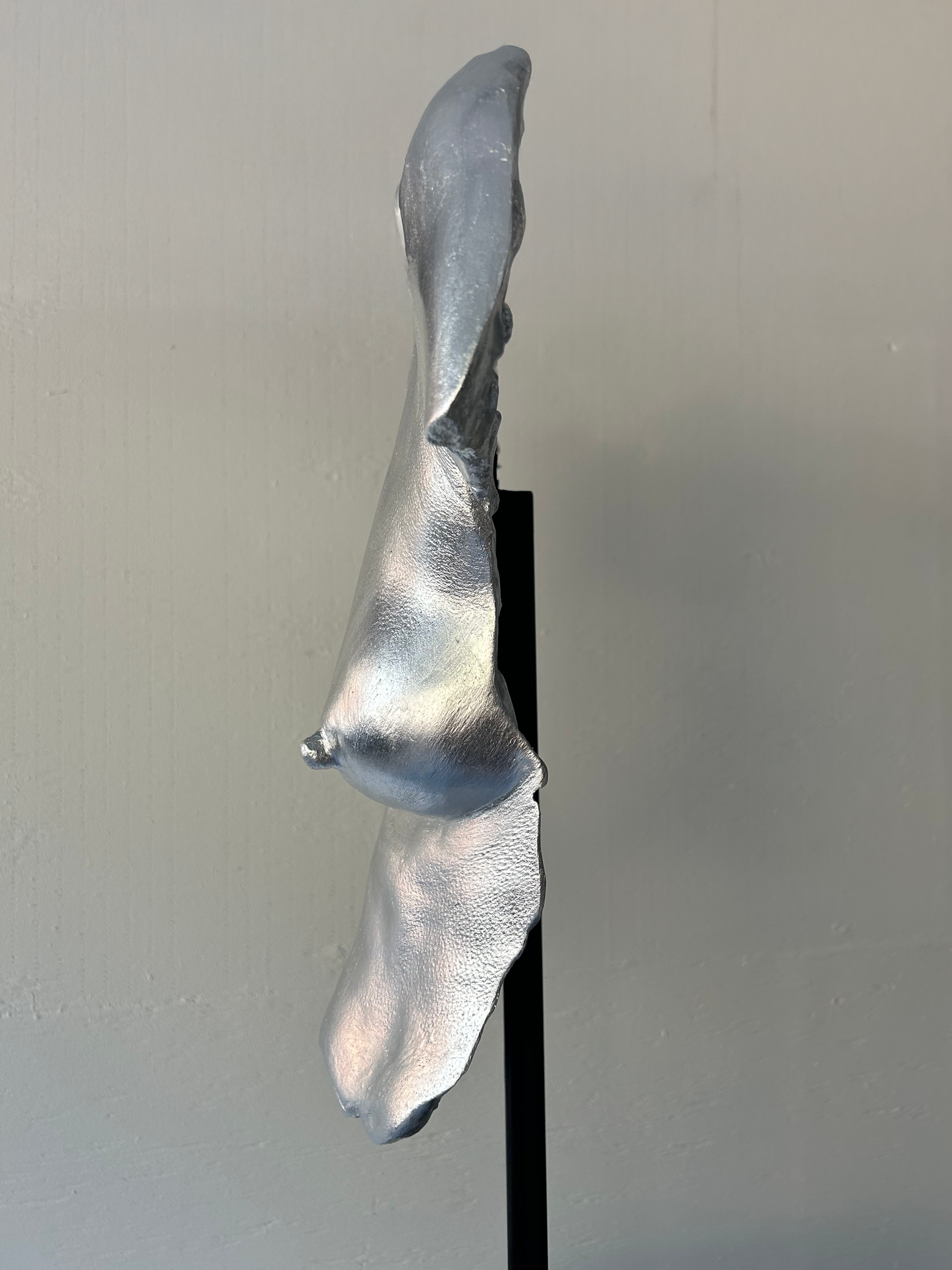 L.S.